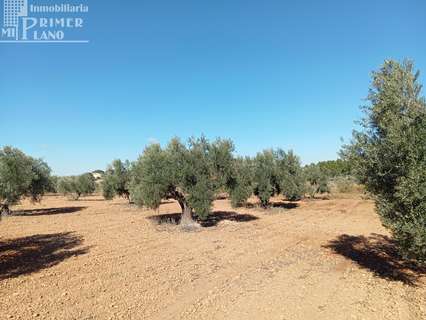 Parcela rústica en venta en Argamasilla de Alba