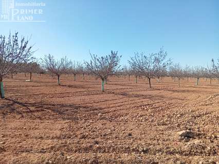 Parcela rústica en venta en Argamasilla de Alba