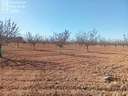 Parcela rústica en venta en Argamasilla de Alba