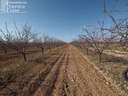 Parcela rústica en venta en Tomelloso