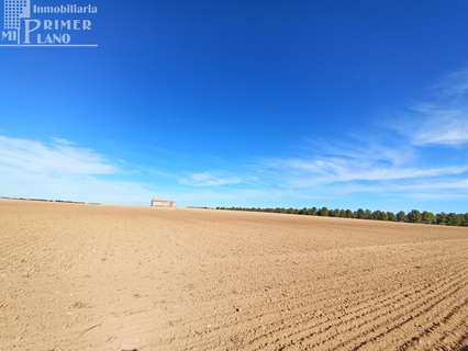 Parcela rústica en venta en Argamasilla de Alba