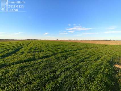 Parcela rústica en venta en Tomelloso