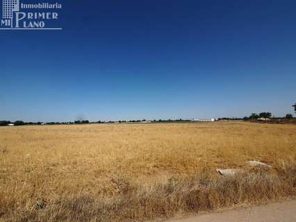 Parcela rústica en venta en Tomelloso