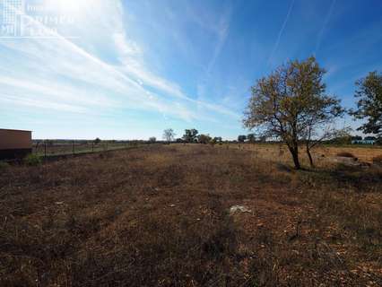 Parcela rústica en venta en Tomelloso