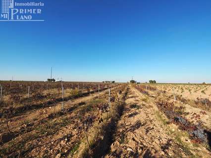 Parcela rústica en venta en Tomelloso