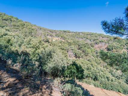 Casa rústica en venta en Jubrique rebajada