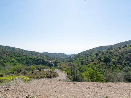 Parcela rústica en venta en Vélez-Málaga