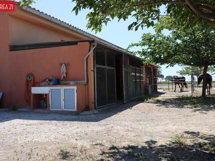 Nave industrial en venta en Llíria