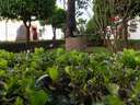 Piso en venta en Sevilla