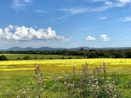 Parcela urbana en venta en Palma de Mallorca