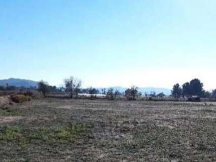 Parcela rústica en venta en Aspe rebajada