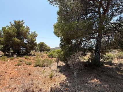 Parcela rústica en venta en Sagunto/Sagunt