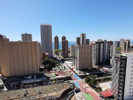 Apartamento en venta en Benidorm rebajado