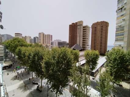 Apartamento en venta en Benidorm rebajado