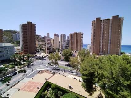 Estudio en venta en Benidorm rebajado