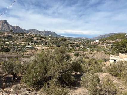 Parcela rústica en venta en La Nucía rebajada