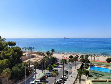 Piso en venta en Benidorm rebajado