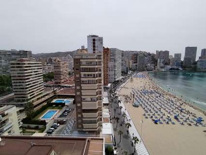 Apartamento en venta en Benidorm rebajado