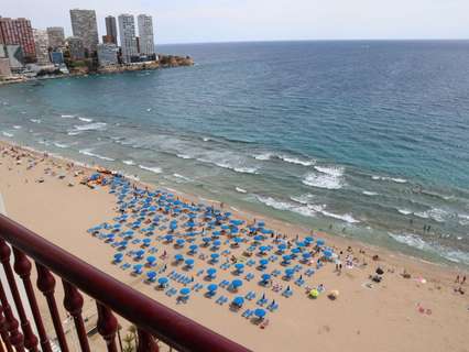 Estudio en venta en Benidorm