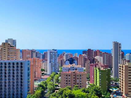 Estudio en venta en Benidorm