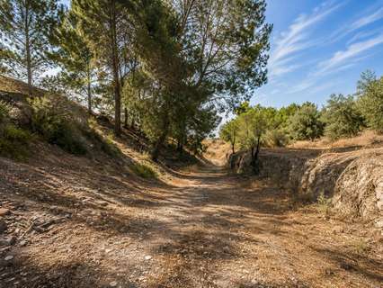 Casa rústica en venta en Atarfe