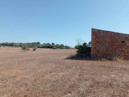 Parcela rústica en venta en Llubí