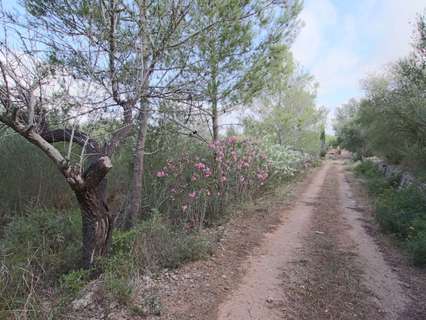 Parcela rústica en venta en Llubí