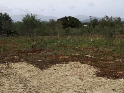 Parcela rústica en venta en Costitx