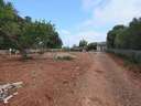 Parcela rústica en venta en Llubí