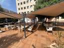 Local comercial en alquiler en Palma de Mallorca