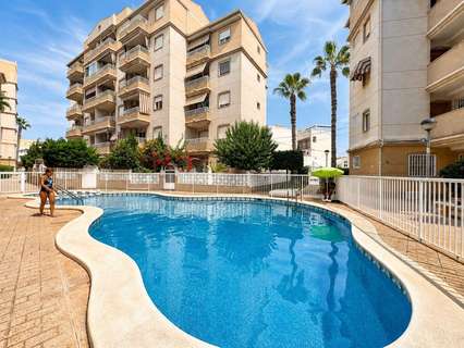 Planta baja en venta en Torrevieja