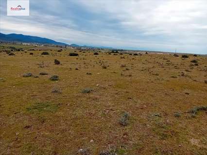 Parcela rústica en venta en Palazuelos de Eresma