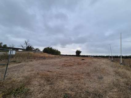 Parcela rústica en venta en El Carpio