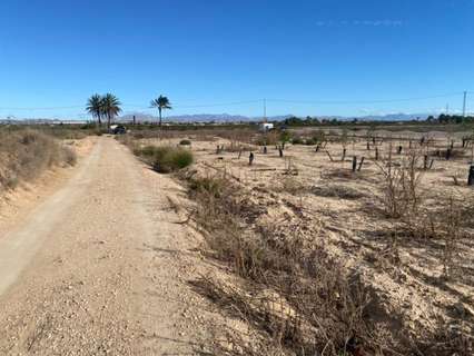 Parcela rústica en venta en Elche/Elx La Marina