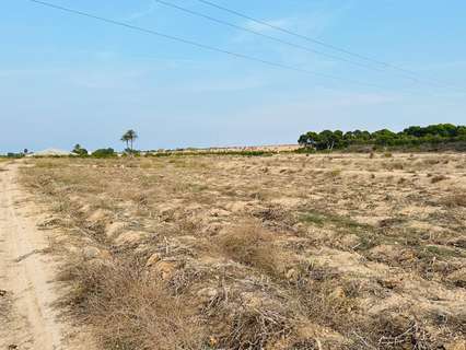 Parcela rústica en venta en Elche/Elx La Marina