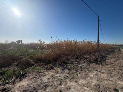 Parcela rústica en venta en Elche/Elx rebajada