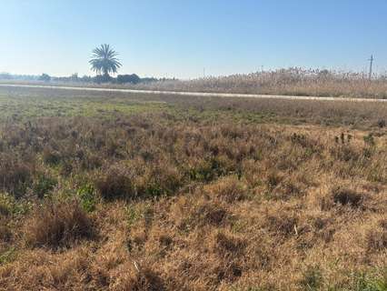 Parcela rústica en venta en Elche/Elx zona La Hoya rebajada