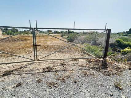 Parcela rústica en venta en Elche/Elx zona Perleta rebajada