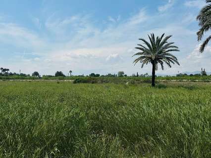 Parcela rústica en venta en Elche/Elx