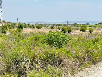 Parcela rústica en venta en Elche/Elx zona La Marina