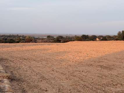 Parcela rústica en venta en Elche/Elx zona La Marina