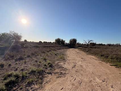 Parcela urbana en venta en Elche/Elx zona La Marina