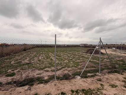 Parcela rústica en venta en Elche/Elx zona La Hoya