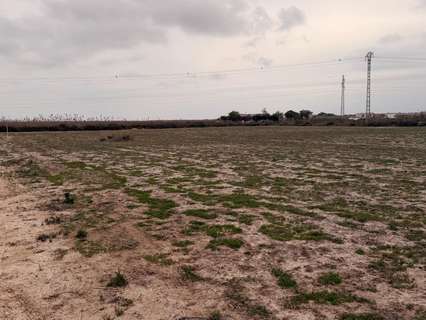Parcela rústica en venta en Elche/Elx zona La Hoya