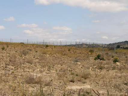 Parcela urbana en venta en Monforte del Cid