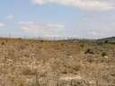 Parcela urbana en venta en Monforte del Cid
