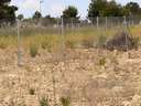 Parcela urbana en venta en Monforte del Cid