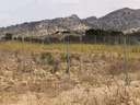 Parcela urbana en venta en Monforte del Cid