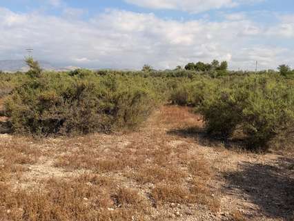 Parcela urbana en venta en Elche/Elx zona Matola
