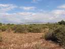 Parcela urbana en venta en Elche/Elx zona Matola